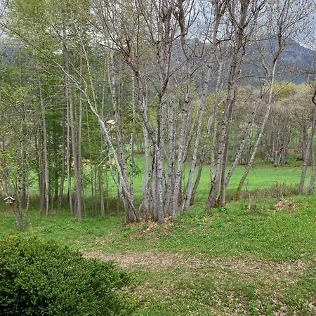 Le Chamois D Or Apartment Allos