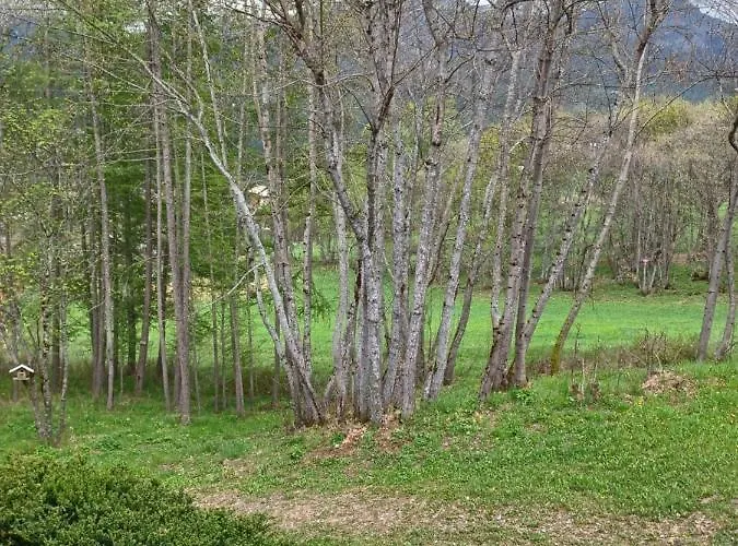 Le Chamois D Or Appartamento Allos